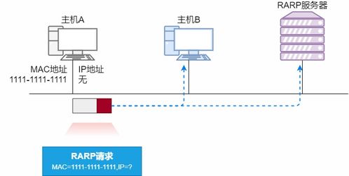 36張圖詳解ARP 網絡世界沒有我，你哪也別想去